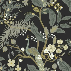 Peacock wallpaper (7 Colourways)