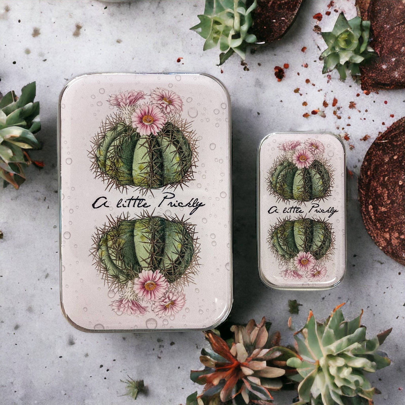 Cactus Notions Tin