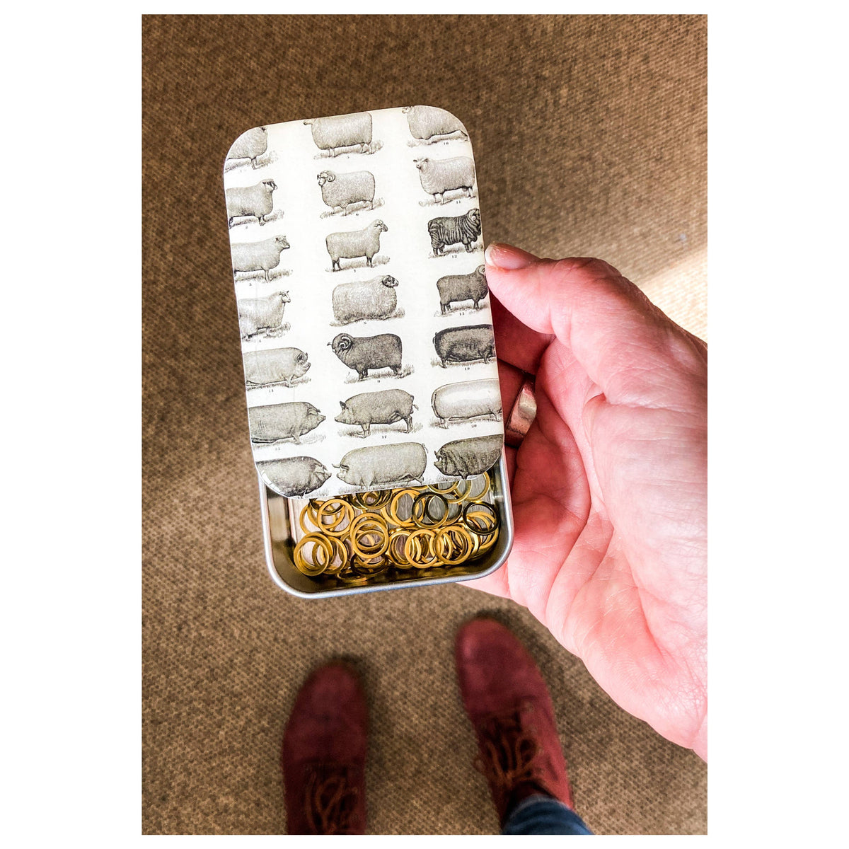 Sheep and Pigs Tin, Pill Box