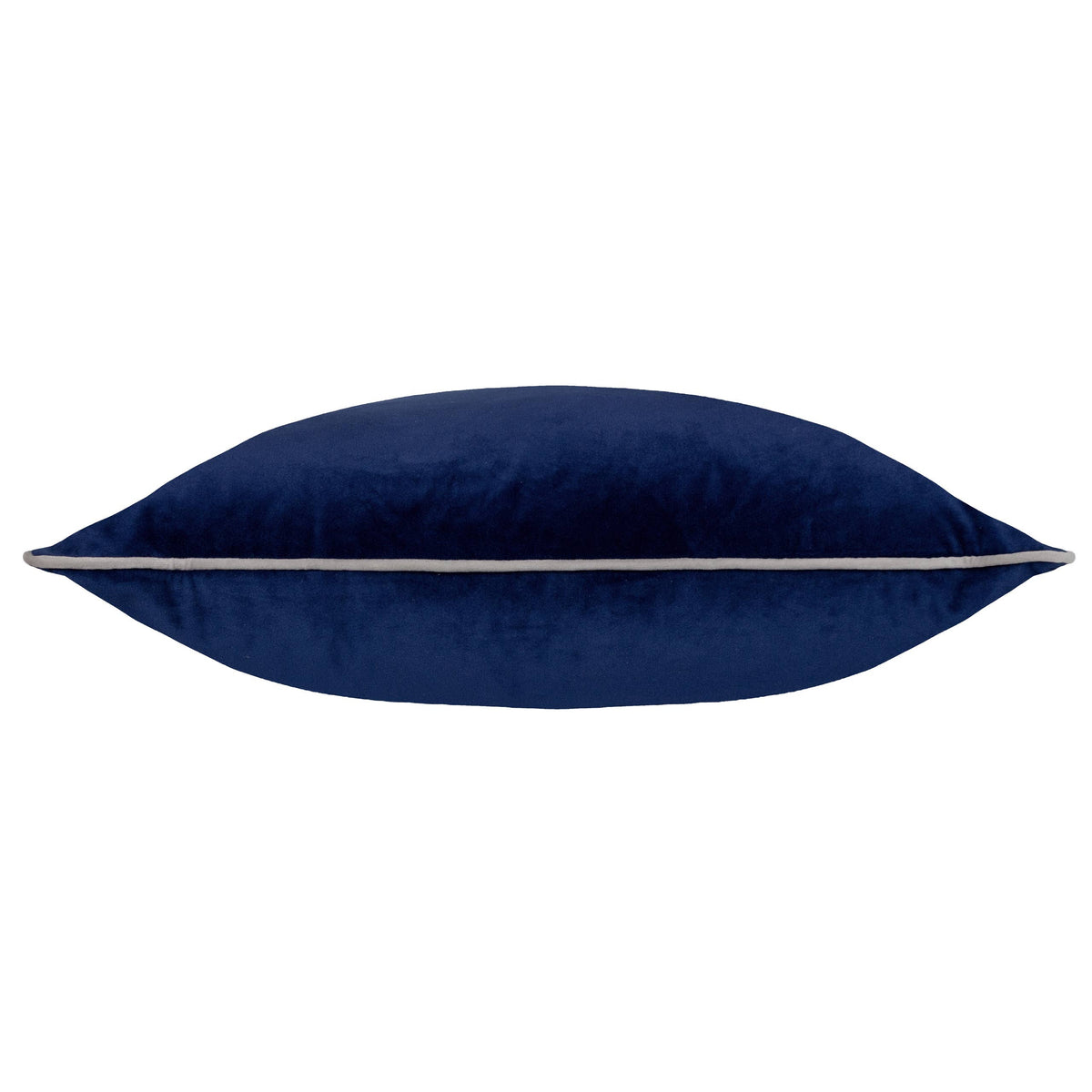 Meridian Velvet Cushion Navy/Silver