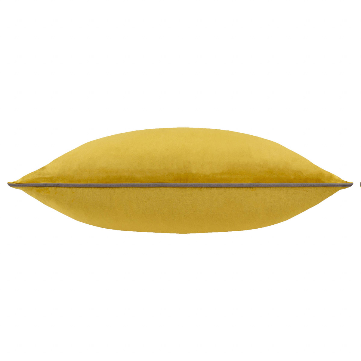 Meridian Velvet Cushion Moss/Charcoal