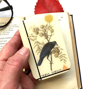 Crow Tin, Shiny Things Tin