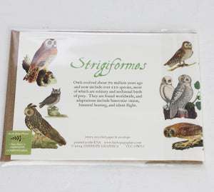 Owls Card
