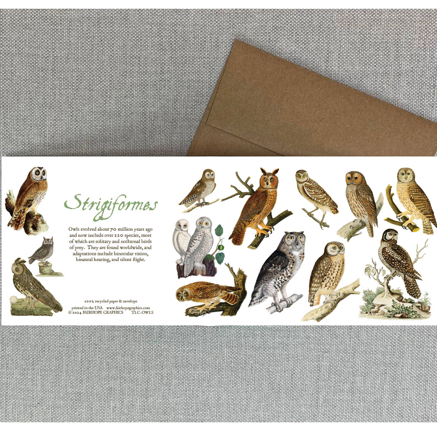Owls Card