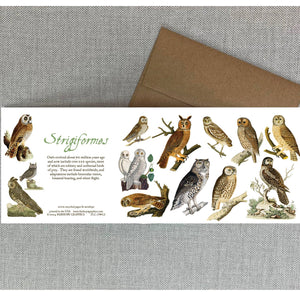 Owls Card