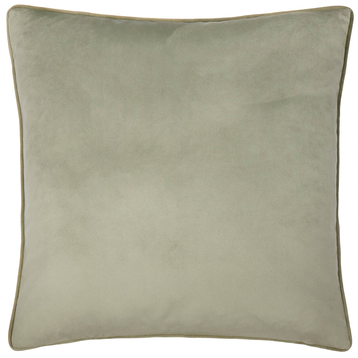 Meridian Velvet Cushion Green/Sage