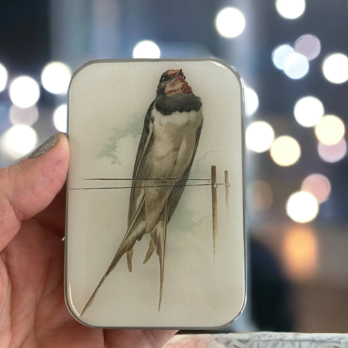 French Swallow Notions Tin
