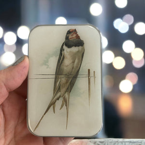 French Swallow Notions Tin