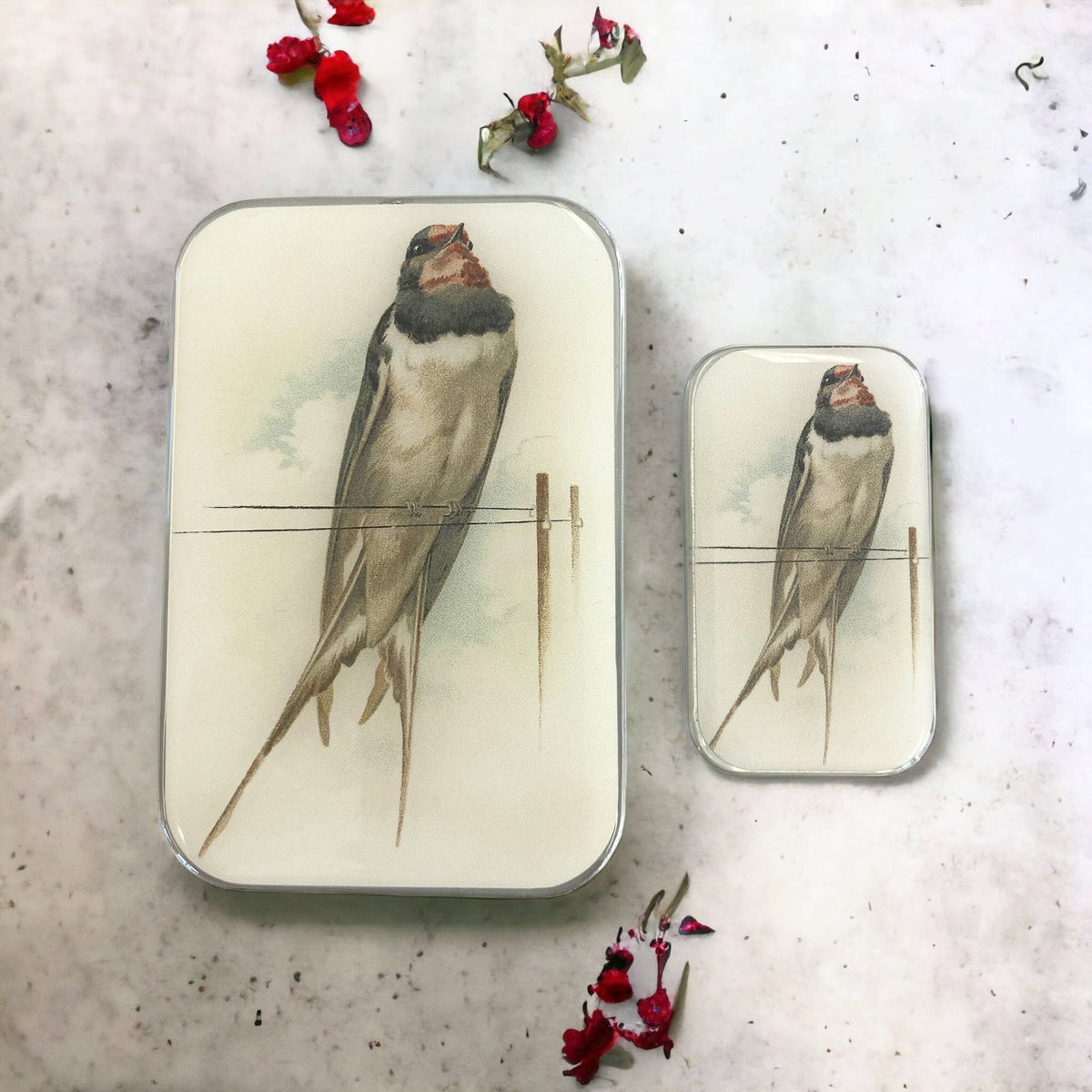 French Swallow Notions Tin