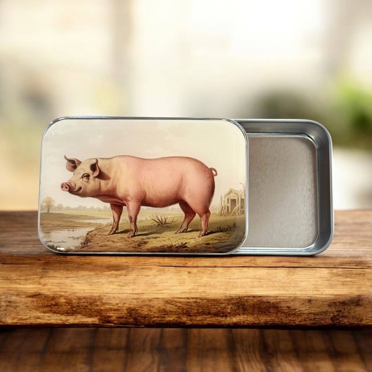 Vintage Pig Notions Tin