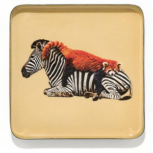Siesta Catchall Tray