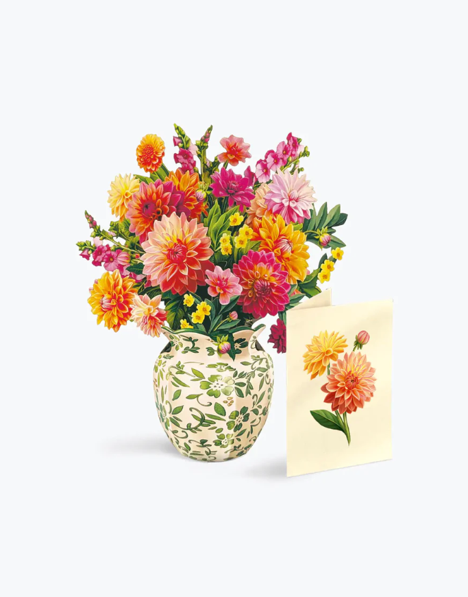 Mini Dahlia Sunrise Pop-Up Bouquet