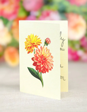 Mini Dahlia Sunrise Pop-Up Bouquet