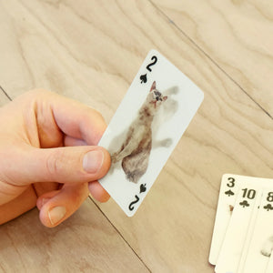 3D Playing Cards