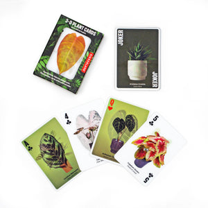 3D Playing Cards