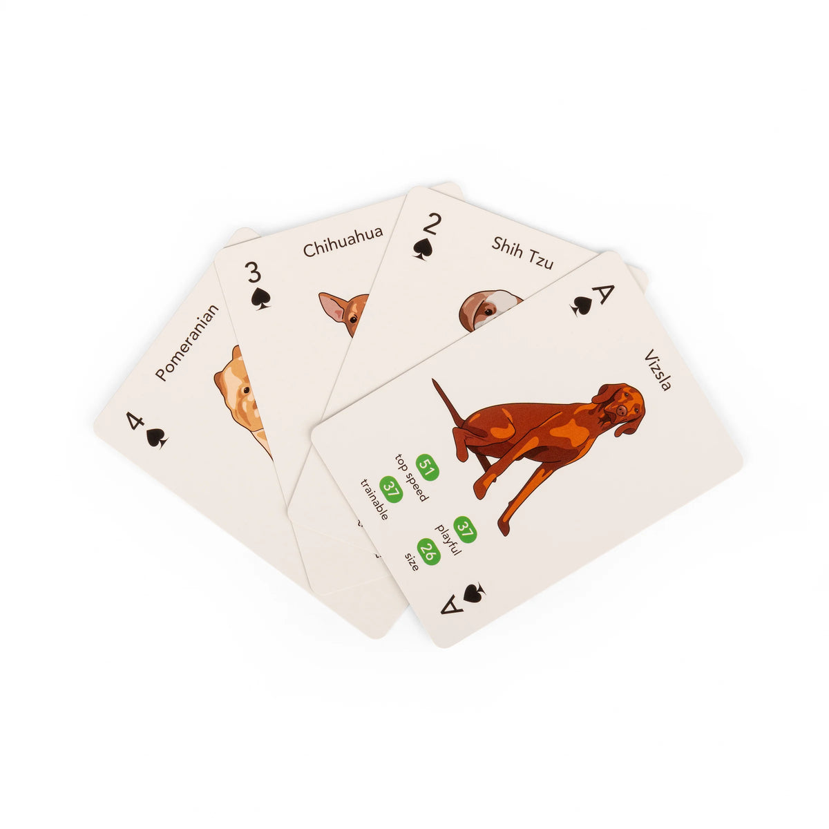 Paws & Play Dog Cards
