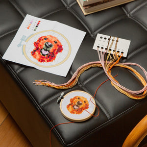 Mini Cross-Stitch Kit