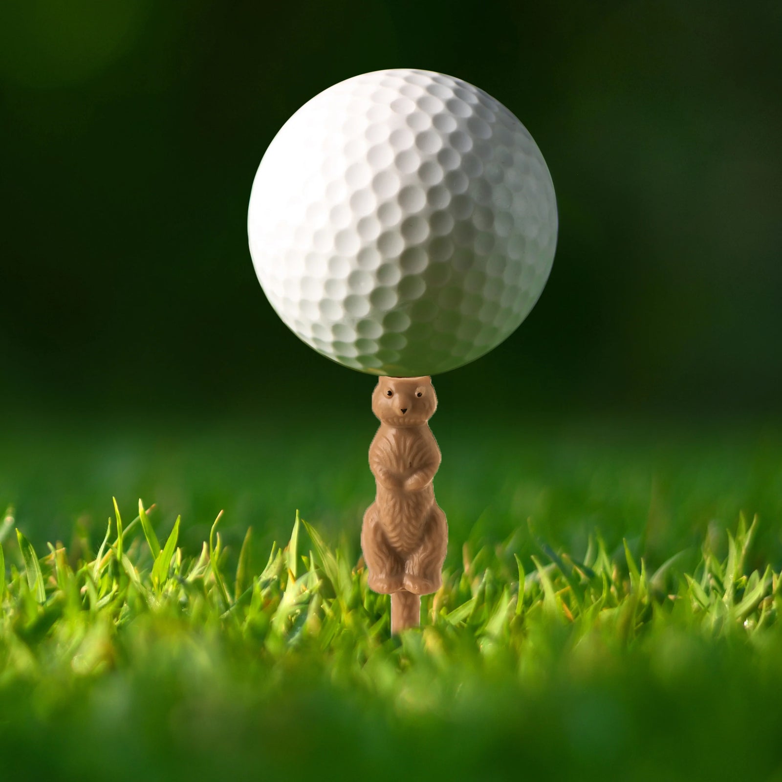 Gopher Caddy Golf Tee