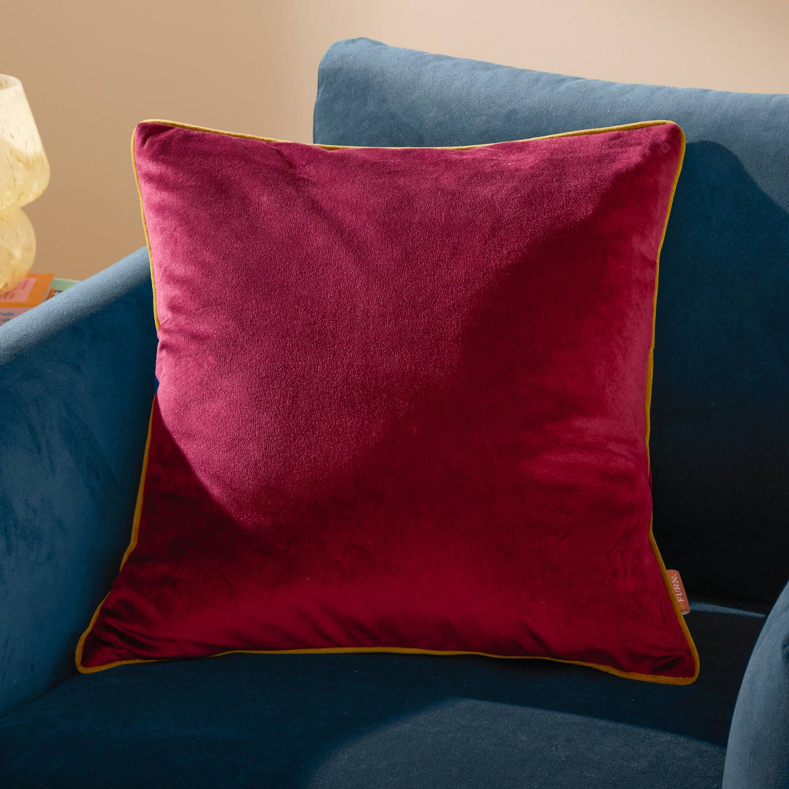 Meridian Velvet Cushion Maroon/Moss