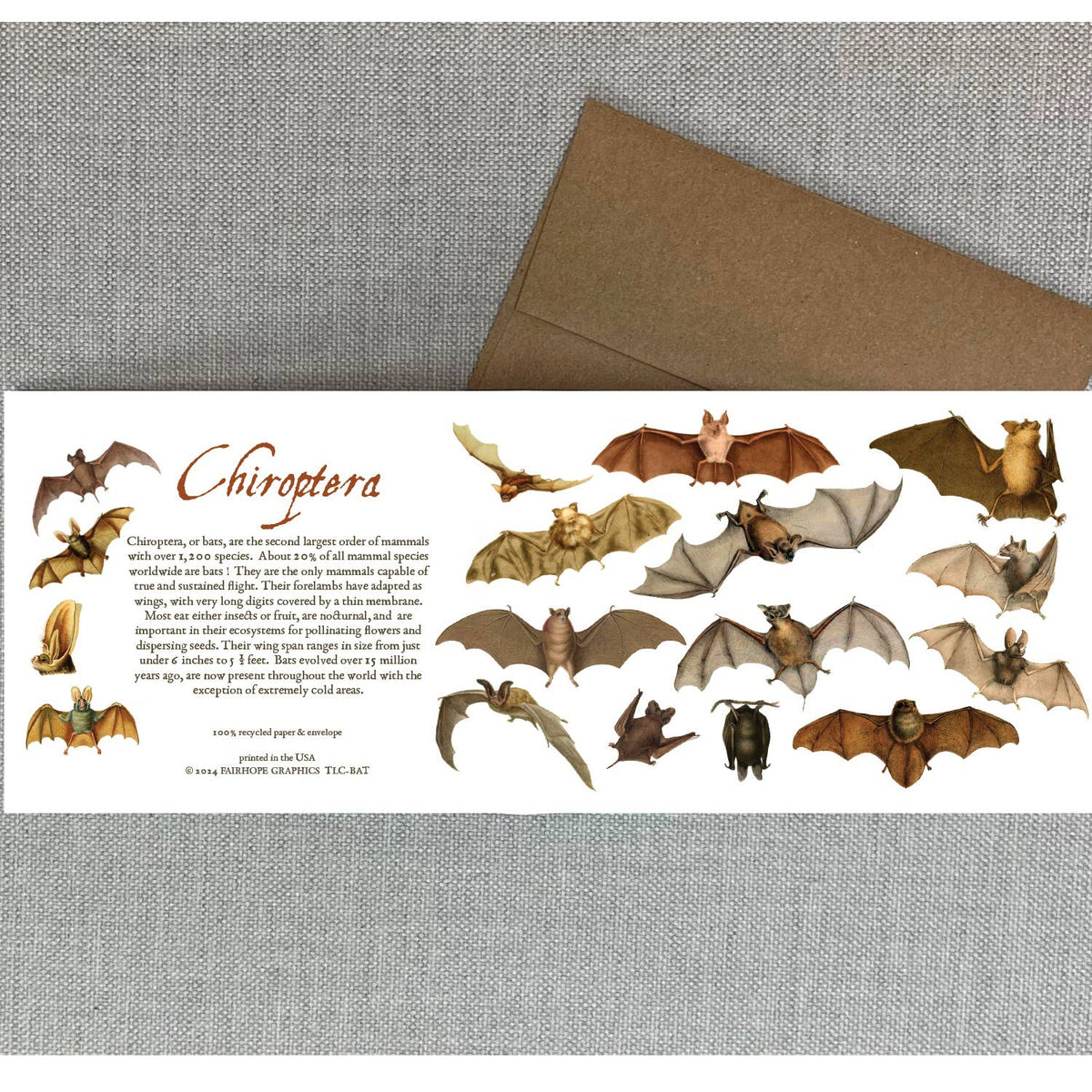 Bats Card