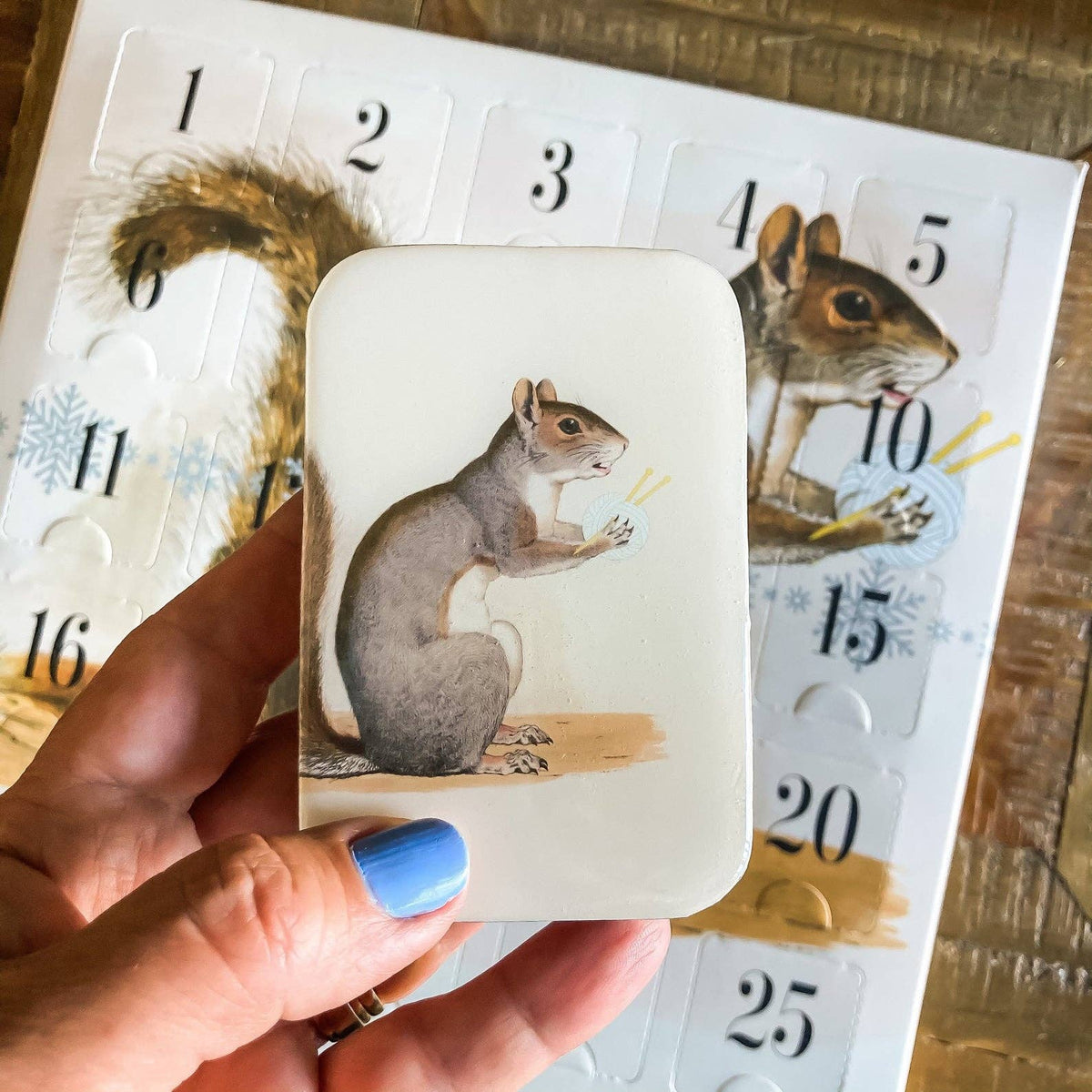 Yarn Squirrel Tin