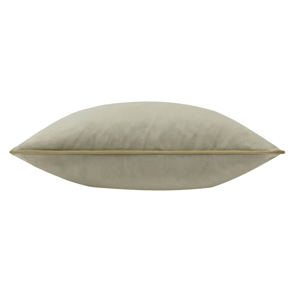 Meridian Velvet Cushion Green/Sage