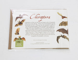 Bats Card