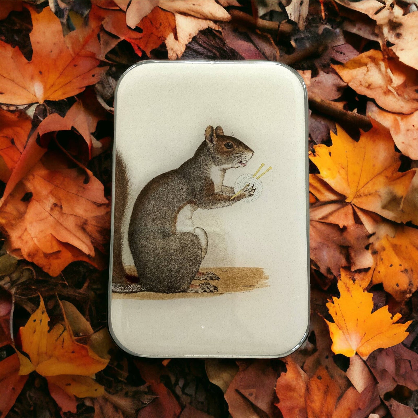 Yarn Squirrel Tin