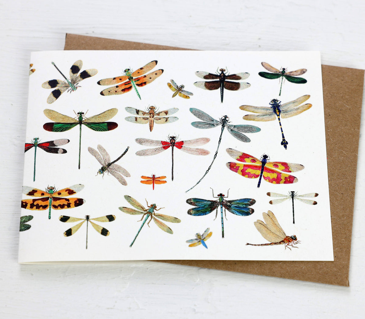 Dragonflies Card