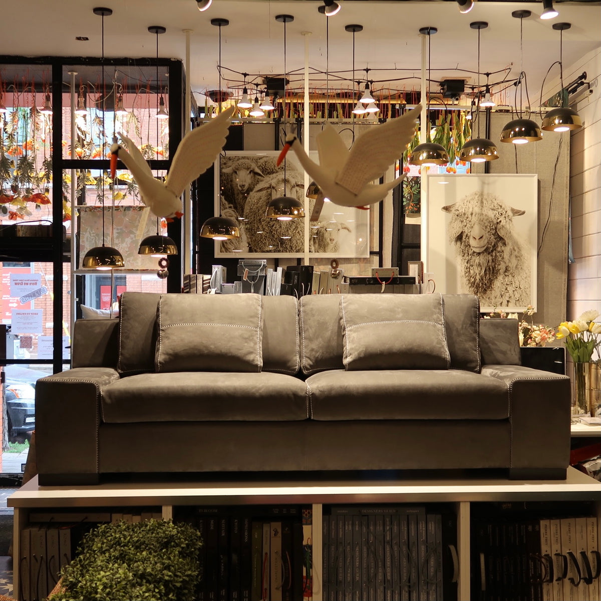 Modena Collection