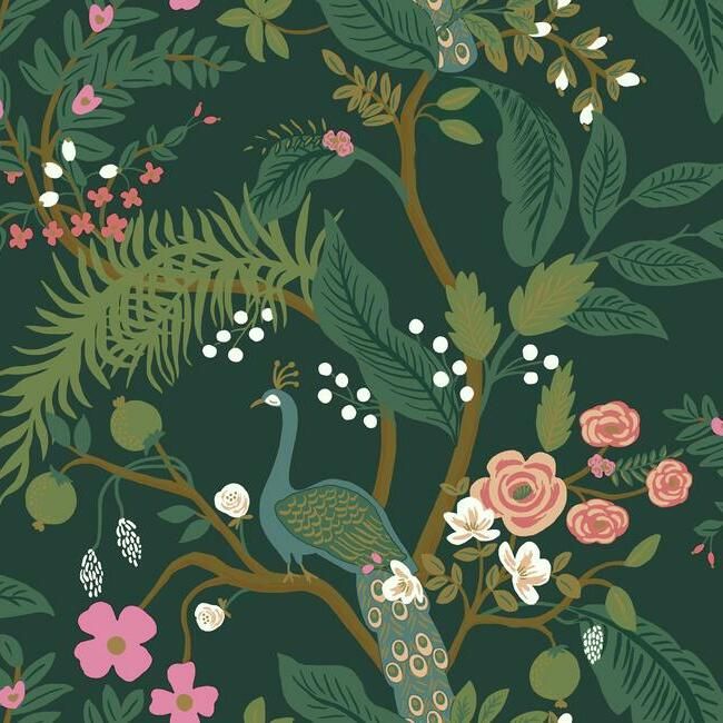 Peacock wallpaper (7 Colourways)